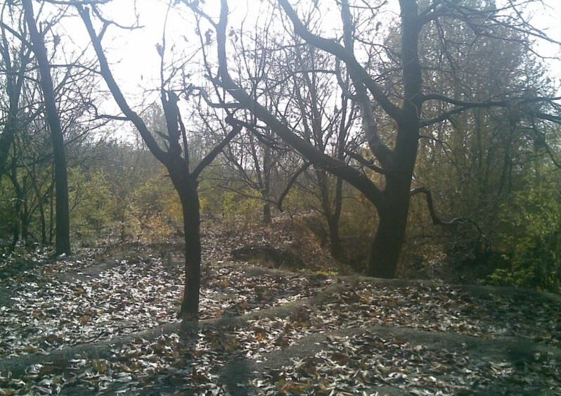 روستای بلاش آباد-d3MXb2Fqlr