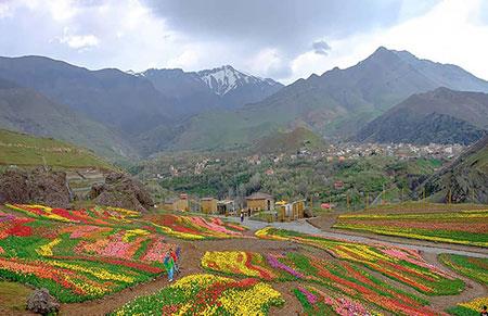 روستای كندر-dDUQKyhYpP