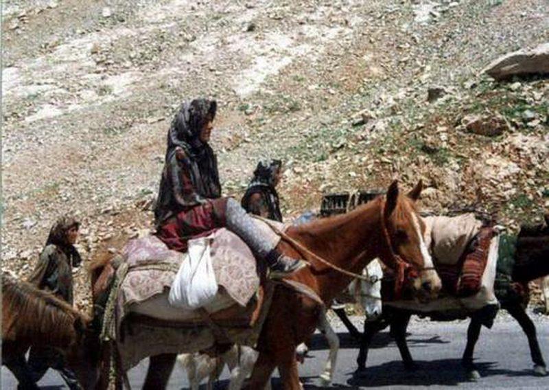 عروسی تفنگ-dJgIpz42j8