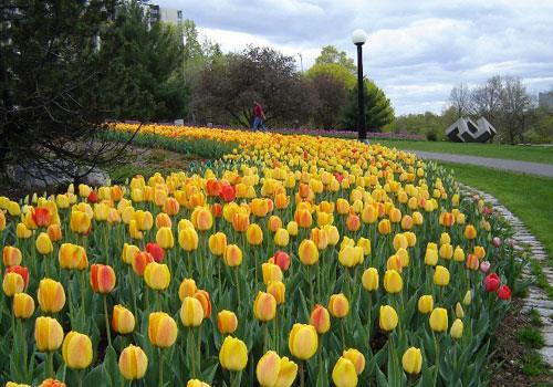 جاهای دیدنی تهران (۱۰۰ مكان گردشگری تهران با عكس و آدرس)-dQjntZkclo