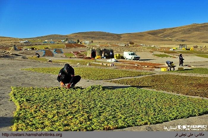 روستای قلعه باباخان-dRUyvD5pPy