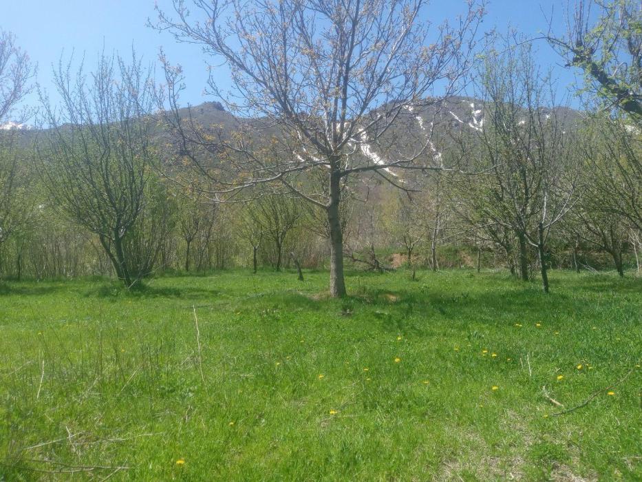 روستای وفرجین همدان-dTJRr51x7x