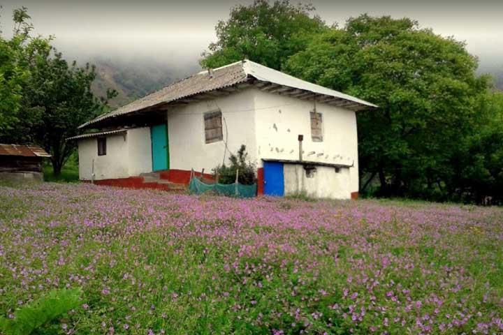 روستای ارده بهشتی در رضوان شهر استان گیلان, رضوان شهر-dXl8raufgs