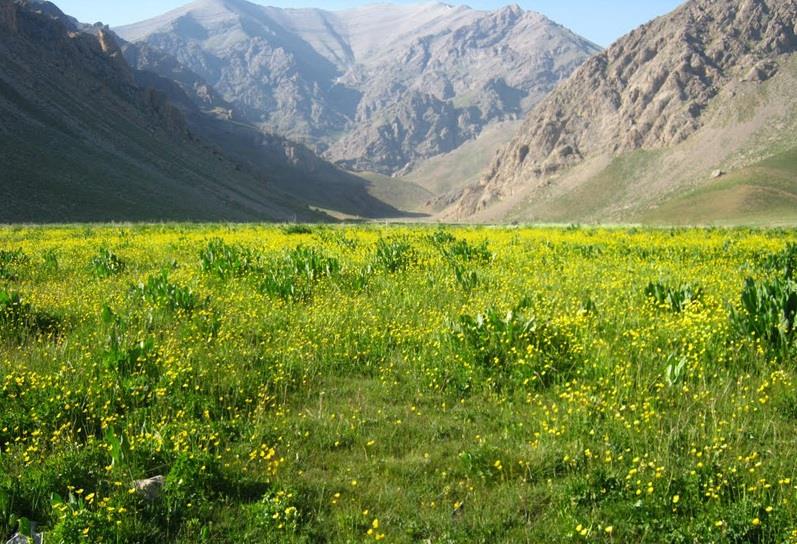 آبشار برف تنگه لار-da6LfkzK4j