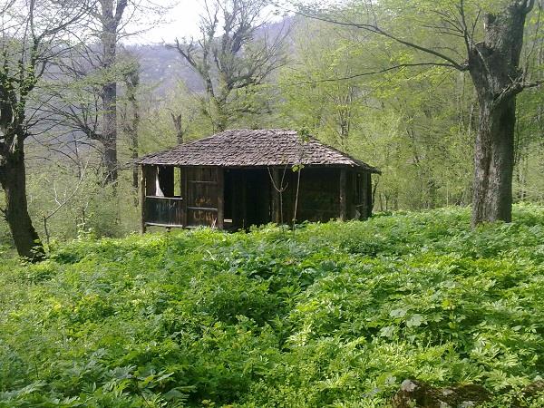 روستای سیاه رودبار-dbAdfhtLqh
