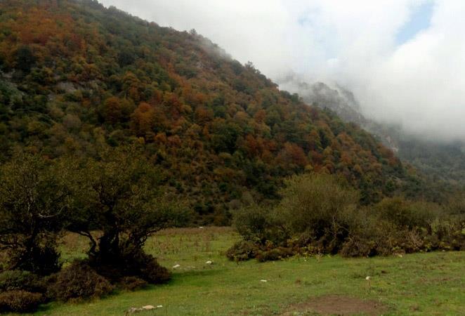 دشت دریاسر ( بهشت اردیبهشت ایران )-dcBvcDoqXR