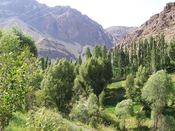 روستای گریوده-dfAqUwYp3a