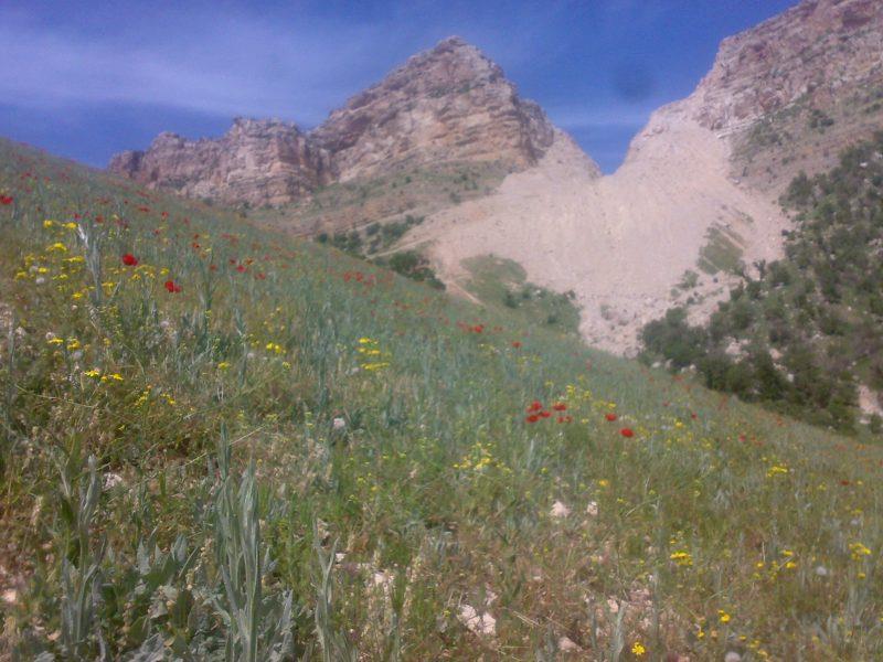 روستای چنان ایلام-dr31Uo6iHS