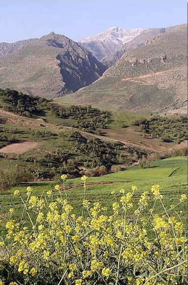 روستای پالنگان-dshEJkge1e