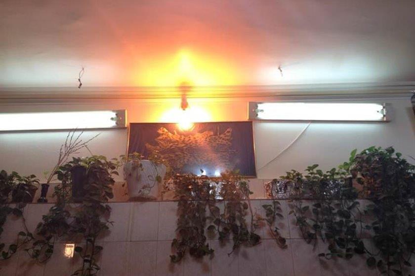 كافه چایخانه دایی تهران-dsskx8D22L