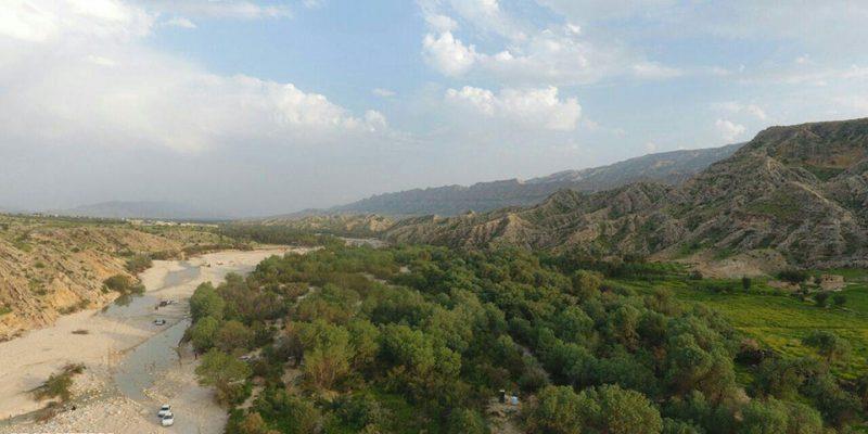جنگل گلوبردكان جم استان بوشهر, جم-duhUKLQDef