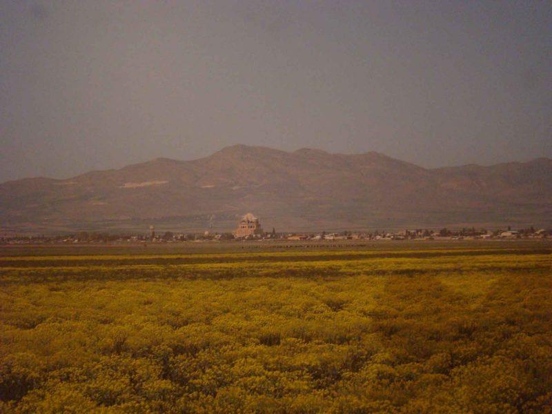 چمن سلطانیه-dwXcBMPrwS