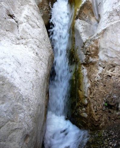 تنگ كرو-dz1ZiDIbAg