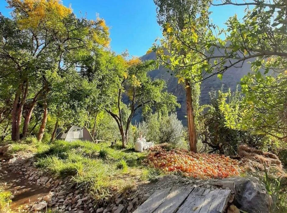 روستای سرخ انبوه گیلان-e1wUrl8TQo