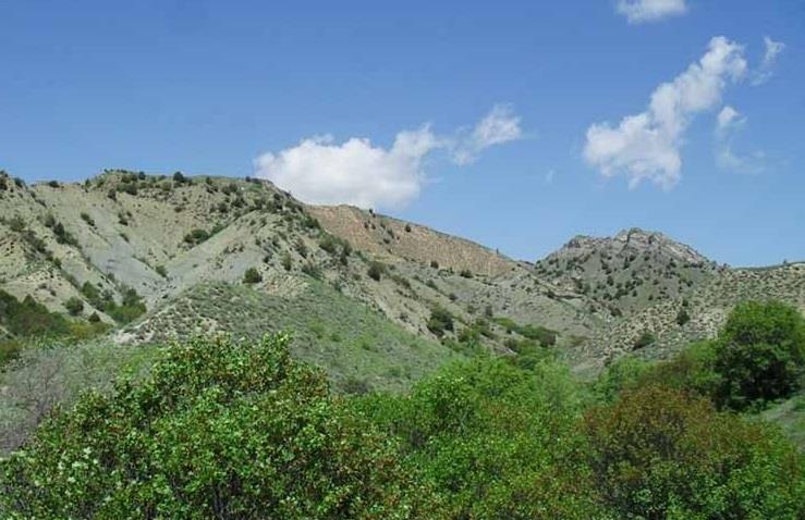 طبیعت باغ دره-eFPEh7Yhlm