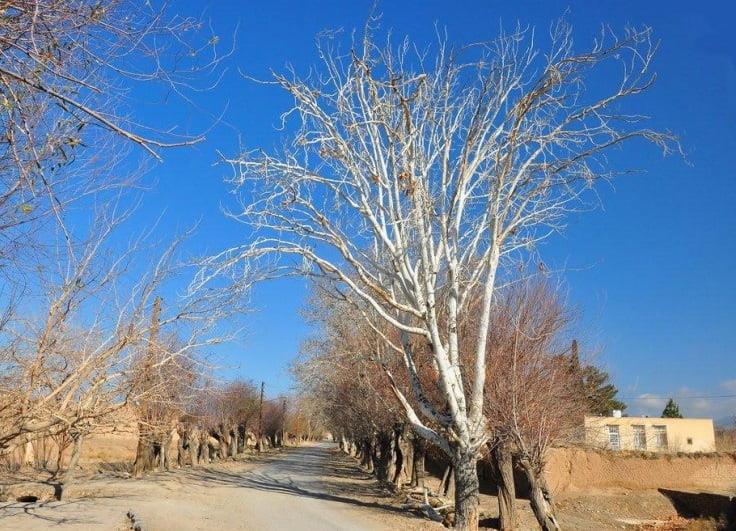 روستای باغستان علیا-eQVAYOzgCJ