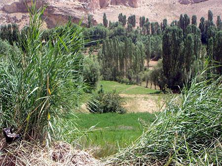 تنگه واشی-eSV2ltNGgd