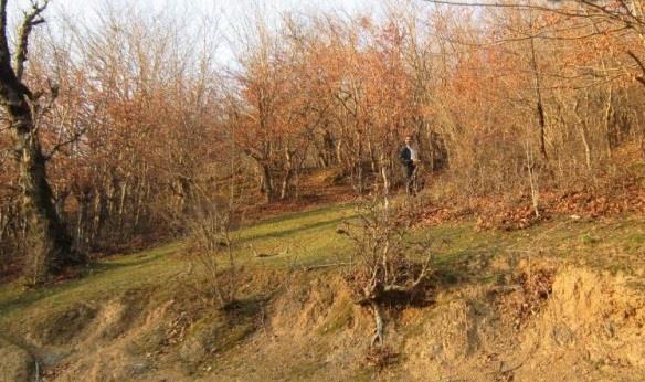 روستای اسكولك-eTHjEch6ge