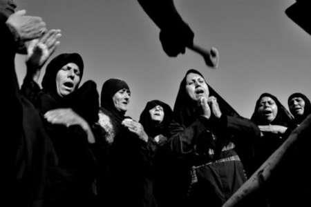 مویه-eUKbPHbNKU