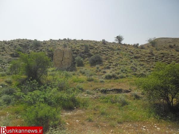 روستای شلدان-eZ97eSbci1