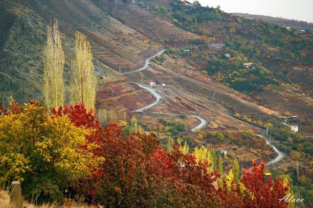 روستای امامه-eZdbdbggPq