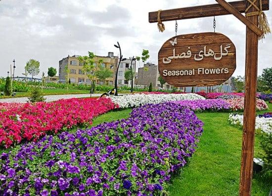 باغ گل‌های مشهد-eh2Vd5nnRm