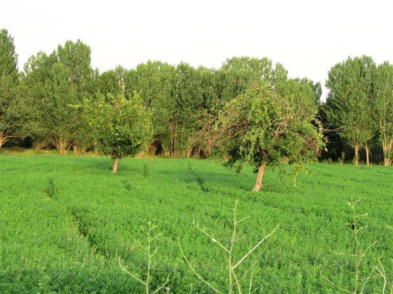 روستای نیماور زنجان-euahfnM7dT
