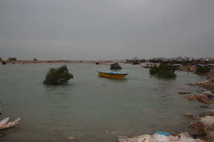 بندر شهر ریگ-f8lCTBKhsh