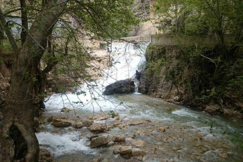 مناطق جنگلی لردگان-fB81RRnJAK