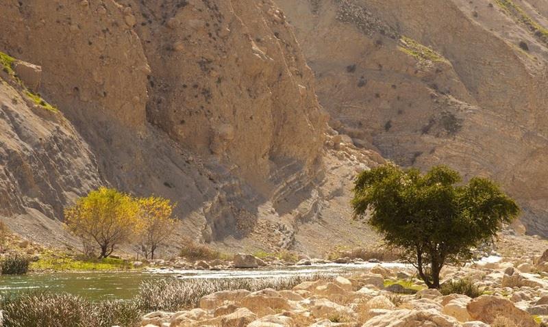منطقه شكار ممنوع كوه بدیل-fBazeNAiRH