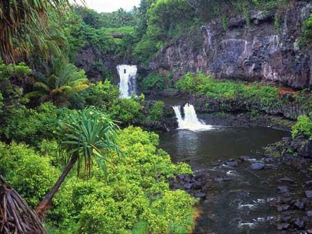 جزیره ماوی (مائویی)، زیباترین جزیره جهان-fFN0X0Gx2U
