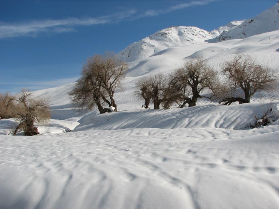 عكس های زیبا و رویایی از طبیعت شگفت انگیز ایران در فصل زمستان-fHEkIclYwh