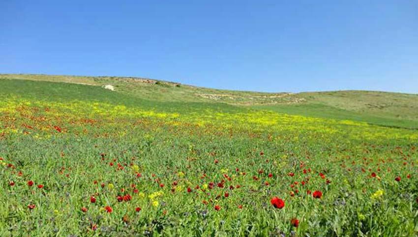 جاهای دیدنی سرعین ( معرفی ۲۰ جاذبه گردشگری )-fKxbkVNVqj