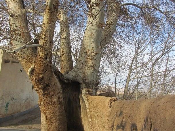 طبیعت درجزین سمنان-fLAD9xLhg9