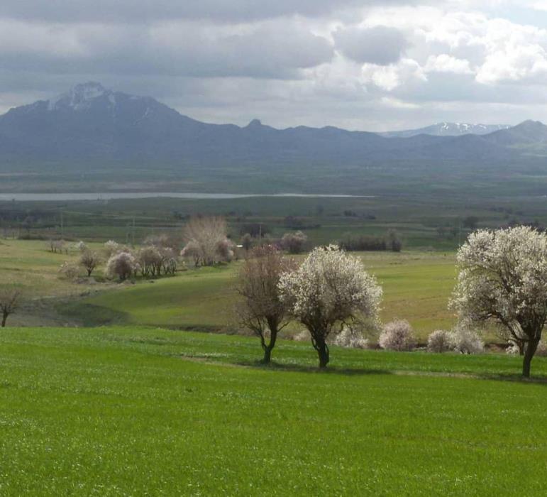روستاهای دهگلان ( معرفی ۱۱۰ روستای دهگلان )-fLEpxsLcAP