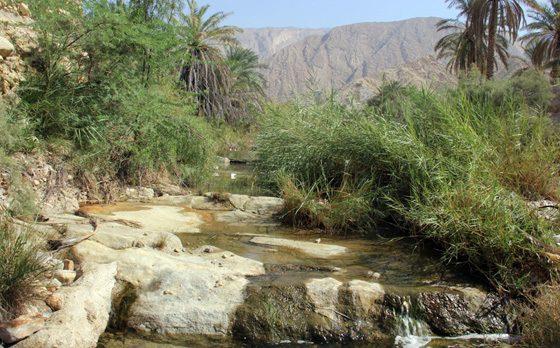 بنگه دشتی خورموج-fPFEktkMen