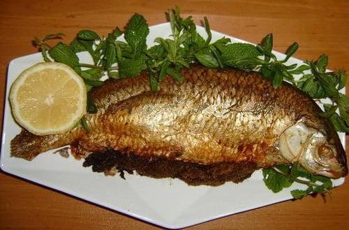 غذاهای محلی بوشهر-fbZwvSMCTb