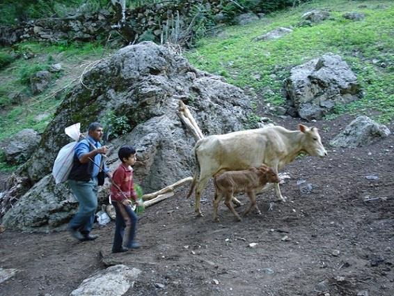 مناطق كوهستانی فومن-fc5gbrGTdq