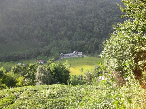 روستاهای فومن ( معرفی ۱۶۰ روستای فومن )-fcC3H4iJfq