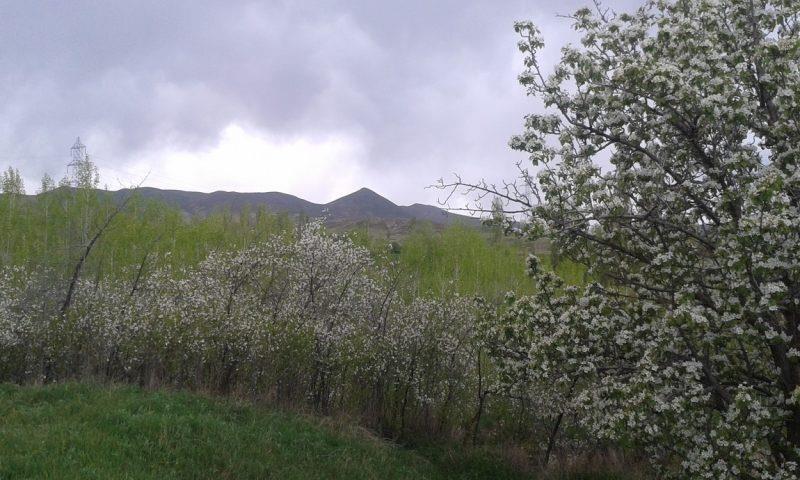 روستای گورانسراب-fclhx2YBLT