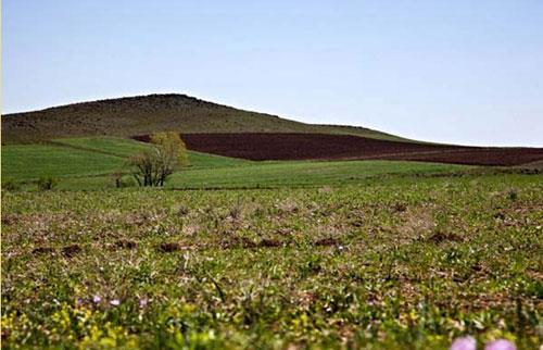 روستای ویر-fgW7WXcegg