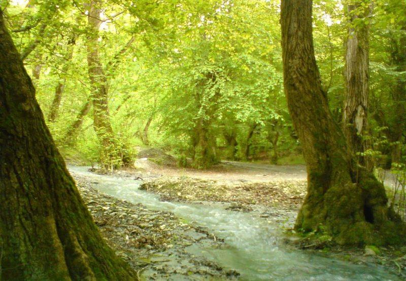 آبشار چلم ریز-fhktCUJAdI