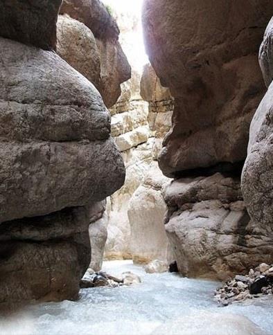 دره دارانداش-fokVyrQDNm