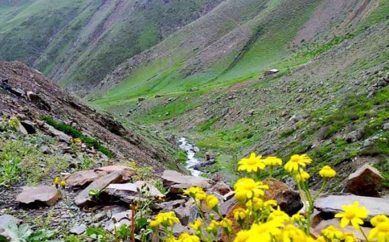 روستای ناتر-fuRwSknvSa