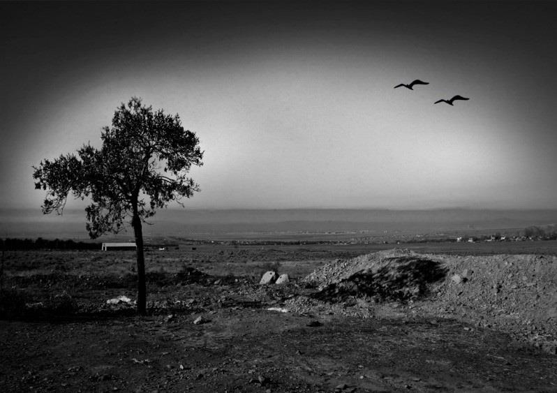 دره هفت غار-fz0h4Q0MOO