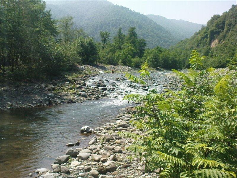 روستای بالارود سیاهكل-g0MKm1lpph