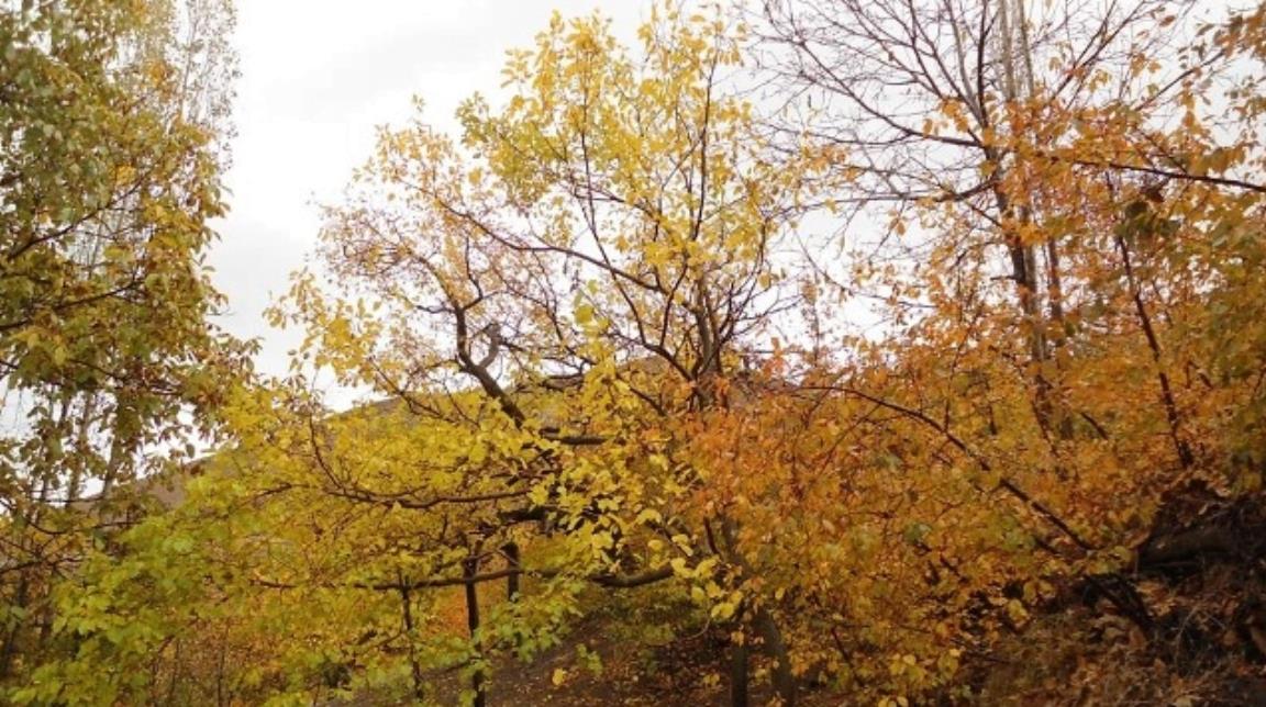 روستای لیلستان-g4YVLKtGz6