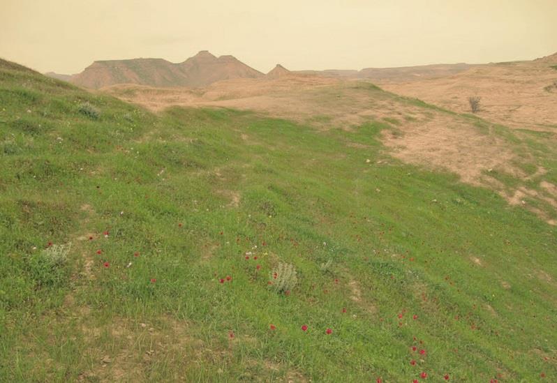 منطقه حفاظت شده كرایی-g5ySEzvgaa