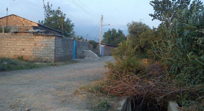 روستای كردآباد-g8PqRnI5BN