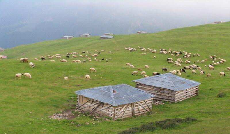 مناطق كوهستانی فومن-g95kGQZUSx